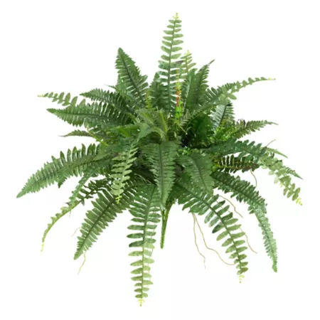 40" Nearly Natural Boston Fern 2 Pack Artificial Plants & Flowers