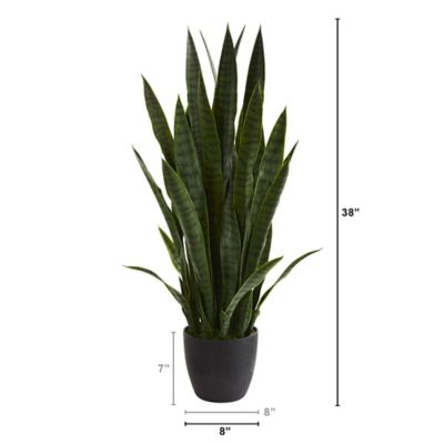 Image showing  38 in. Artificial Sansevieria Plant, 6350-GR