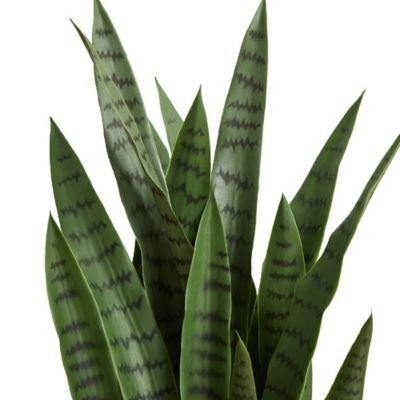 Image showing  38 in. Artificial Sansevieria Plant, 6350-GR