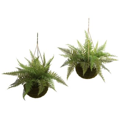 Nearly Natural 13 in. Leather Fern with Mossy Hanging Baskets, Indoor/Outdoor, 2-Pack