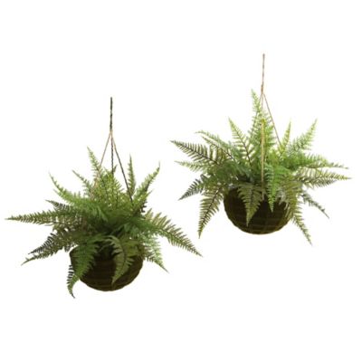 Nearly Natural 13 in. Leather Fern with Mossy Hanging Baskets, 2 pc.