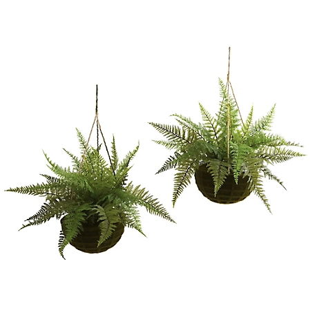 Nearly Natural 13 in. Leather Fern with Mossy Hanging Baskets, Indoor/Outdoor, 2 pk.