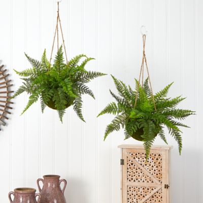 Image showing  13 in. Leather Fern with Mossy Hanging Baskets, 2 pc.