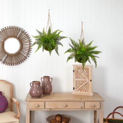 Image showing  13 in. Leather Fern with Mossy Hanging Baskets, 2 pc.