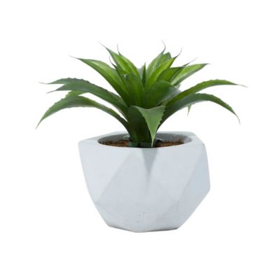 Image showing  11 in. Artificial Green Agave Plant in White Ceramic Pot