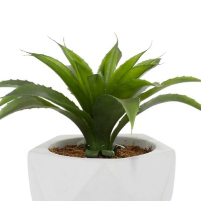 Image showing  11 in. Artificial Green Agave Plant in White Ceramic Pot