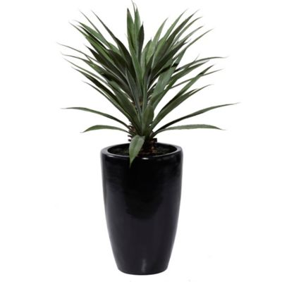 Image showing  37 in. Artificial Green Dracaena Plant with Realistic Leaves in Black Fiberglass Pot