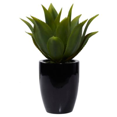 Image showing  22 in. Artificial Succulent Plant in Black Fiberglass Pot