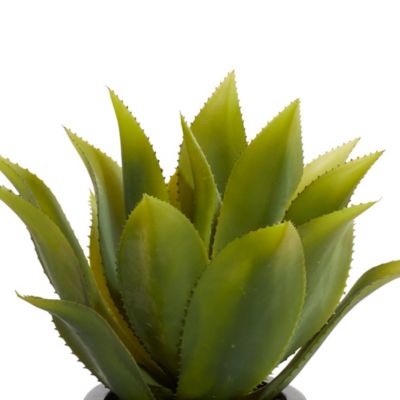 Image showing  22 in. Artificial Succulent Plant in Black Fiberglass Pot