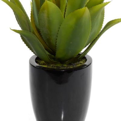 Image showing  22 in. Artificial Succulent Plant in Black Fiberglass Pot