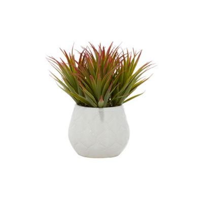 Image showing  9 in. Green Faux Foliage Striped Stemmed Aloe Artificial Plant with Realistic Leaves and White Ceramic Pot