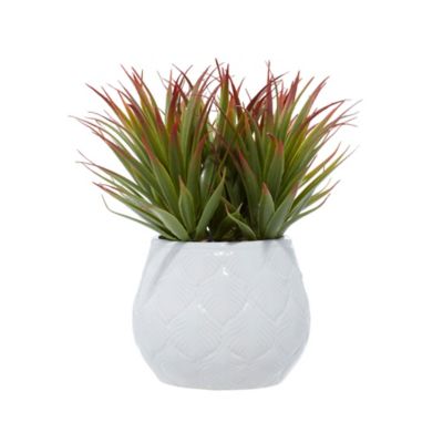 Image showing  9 in. Green Faux Foliage Striped Stemmed Aloe Artificial Plant with Realistic Leaves and White Ceramic Pot