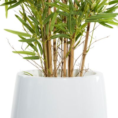 Image showing  80 in. Artificial Green Bamboo Tree in White Fiberglass Pot