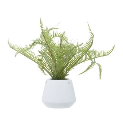 Image showing  18 in. Artificial Green Fern Plant in White Ceramic Pot