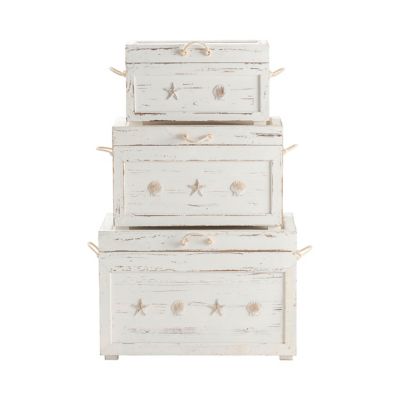 Image showing 1 th Crestview Collection Seaside Shell Storage Trunks, Assorted, 3 pc.