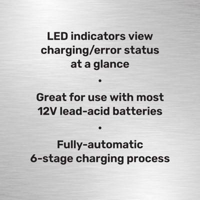 Image showing  6A 12V Smart Battery Charger