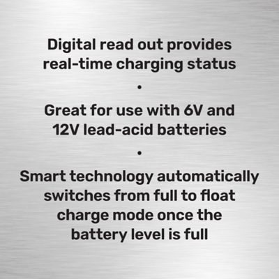 Image showing  2/10A 6V/12V Smart Battery Charger