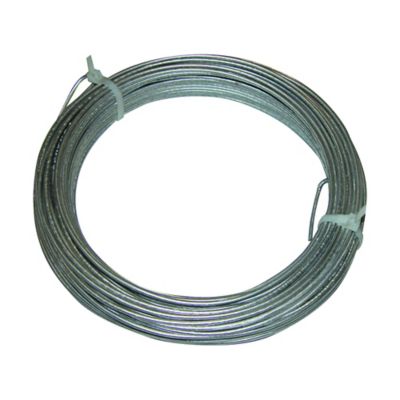 Field Guardian 50 ft. Lead Out Fence Wire, 12.5 Gauge