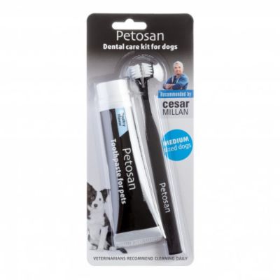 Petosan Brush and Paste Dental Kit for Pets, Medium