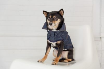 Image showing  Elasto-Fit Denim Dog Jacket