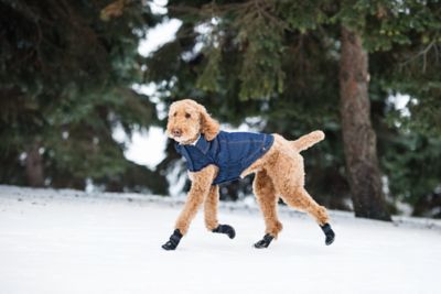 Image showing 5 th GF Pet Elasto-Fit Denim Dog Jacket