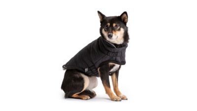 Image showing  Reversible Elasto-Fit Chalet Dog Jacket