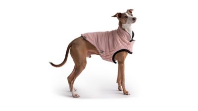Image showing  Reversible Elasto-Fit Chalet Dog Jacket