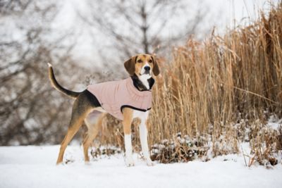 Image showing 6 th GF Pet Reversible Elasto-Fit Chalet Dog Jacket