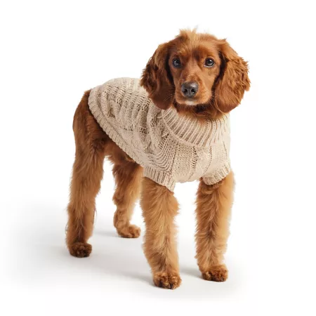 GF Pet Chalet dog sweater Dog Sweaters