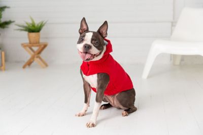 Image showing  Elasto-Fit Urban Dog Hoodie, GJ344F0-RED-2XL