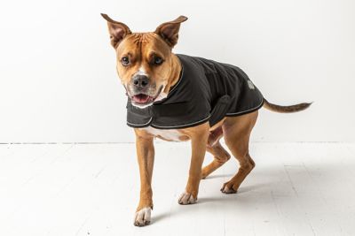 Image showing 2 th GF Pet Dog Blanket Jacket