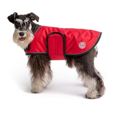 Image showing 6 th GF Pet Dog Blanket Jacket
