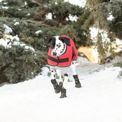 Image showing 7 th GF Pet Dog Blanket Jacket