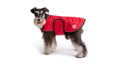 Image showing  Dog Blanket Jacket