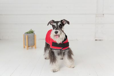 Image showing  Dog Blanket Jacket