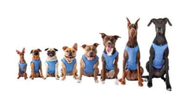 Image showing  Elasto-Fit Ice Dog Vest