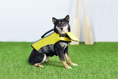 Image showing  Dog Life Vest