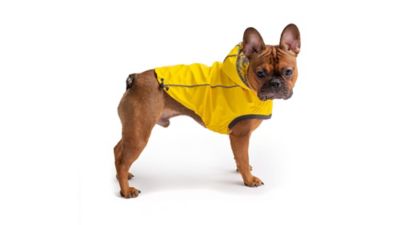 Image showing  Reversible Elasto-Fit Dog Raincoat