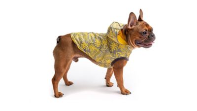 Image showing 5 th GF Pet Reversible Elasto-Fit Dog Raincoat