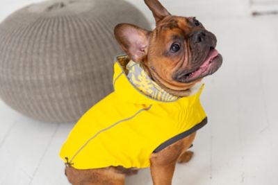Image showing 6 th GF Pet Reversible Elasto-Fit Dog Raincoat