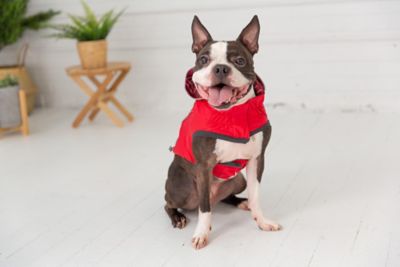 Image showing 6 th GF Pet Reversible Elasto-Fit Dog Raincoat