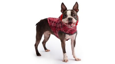 Image showing 5 th GF Pet Reversible Elasto-Fit Dog Raincoat