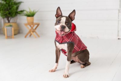 Image showing 7 th GF Pet Reversible Elasto-Fit Dog Raincoat