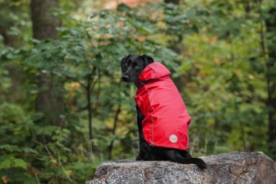 Image showing 8 th GF Pet Reversible Elasto-Fit Dog Raincoat