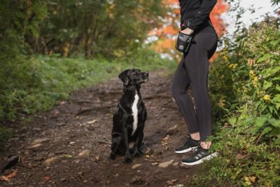 Image showing  Polyester Pet Treat Bag, Gray