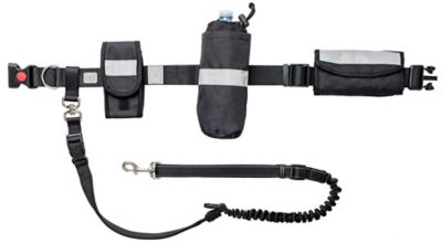 GF Pet Waist Belt and Bungee Reflective Dog Leash