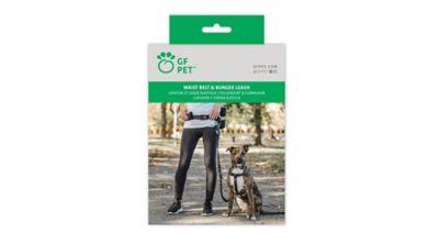 Image showing  Waist Belt and Bungee Reflective Dog Leash, 48 in. L
