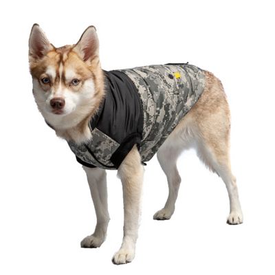 Image showing  US Army Dog Jacket