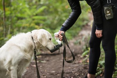 Image showing  US Army Dog Water Bottle