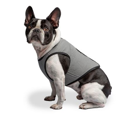 Image showing  US Army Dog Cooling Vest